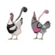 thumbnail image 1 of 2Pcs Chicken Harness And Leash, Modified Adjustable Breathable Harness Specially Designed Compatible With Chicken Duck Goose Training And Walking, Com, 1 of 2