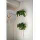 thumbnail image 3 of Solnnerer Paquete de 20 Ganchos de Rosca para Colgar Luces y Plantas, Ganchos para Tazas Q-Hanger Blancos de 2,2 Pulgadas, Ganchos de Techo con Tornillos, Gancho para Ojo, Montaje en Techo de Pared, 3 of 7
