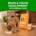 thumbnail image 6 of Iams Proactive Health Adult Wet Dog Food Chunks In Gravy Beef, Rice, Carrots & Green Beans Flavor, 13 Oz Can (Pack of 6), 6 of 6