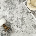 thumbnail image 7 of BERTHMEER 3'x5' Abstract Area Rug Entryway Bedroom Living Room Porch Rug,Machine Washable Non-Slip Rugs,Gray, 7 of 7