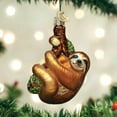 thumbnail image 4 of Old World Christmas Animal Collection Glass Blown Ornaments for Christmas Tree Sloth, 4 of 8