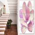 thumbnail image 1 of Cute Light Pink Magnolia Flower - Flowers Canvas Wall Artwork, 1 of 3