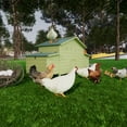thumbnail image 6 of Large Wooden Chicken Coop Outdoor Hen House w/ Nesting Boxes, Perch, Moisture-Proof, Green, 6 of 11