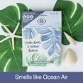 thumbnail image 2 of (2 pack) Sparkle City Scented Sachet 2 Pack, Palm Trees & Ocean Breeze, 2 of 10