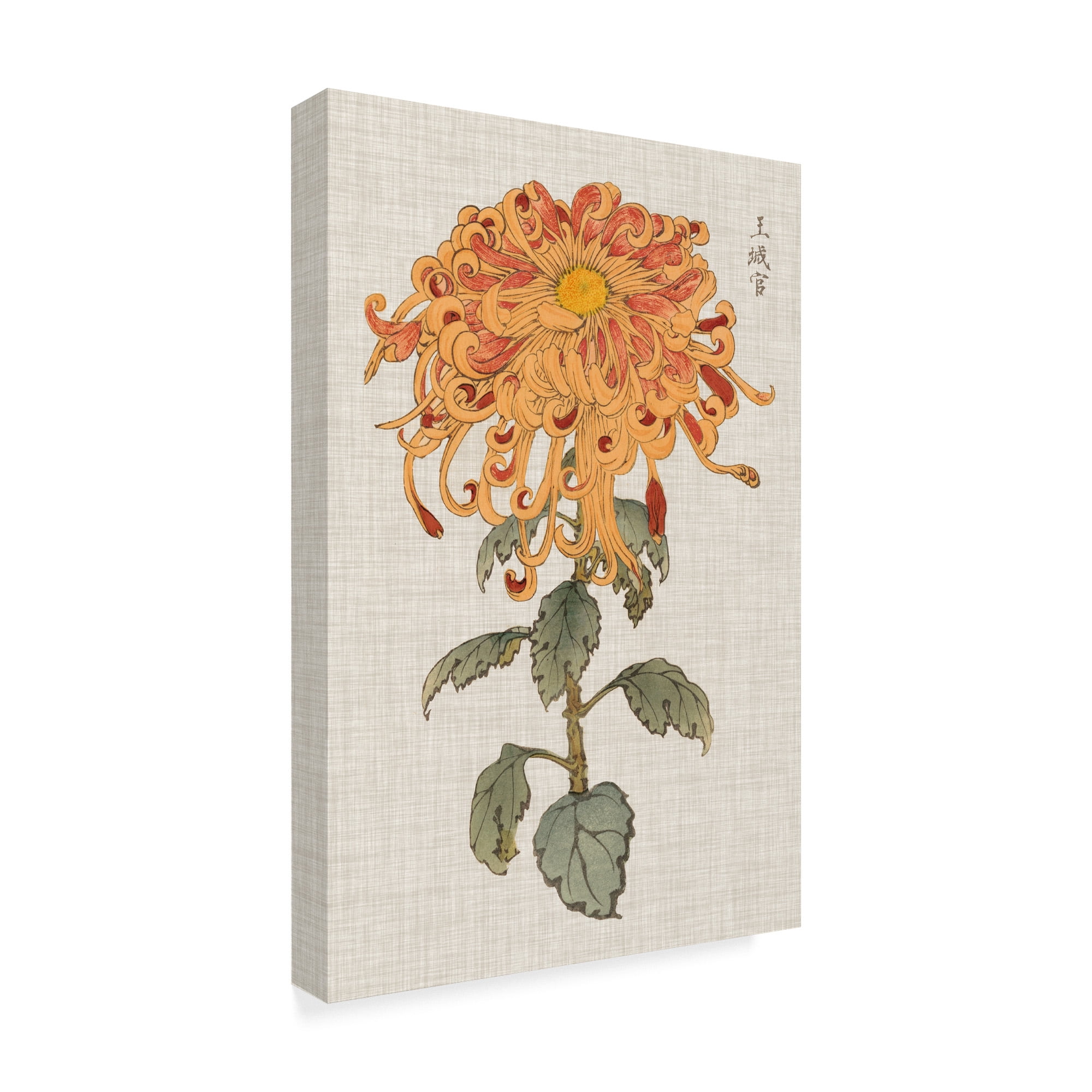 Trademark Fine Art 'UA CH Vibrant Mums I' Canvas Art by Vision Studio