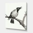 thumbnail image 3 of Designart ' Monochrome Crying Crow On A Branch ' Traditional Canvas Wall Art Print, 3 of 4