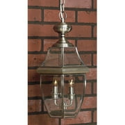Quoizel Newbury NY1178P Outdoor Hanging Lantern