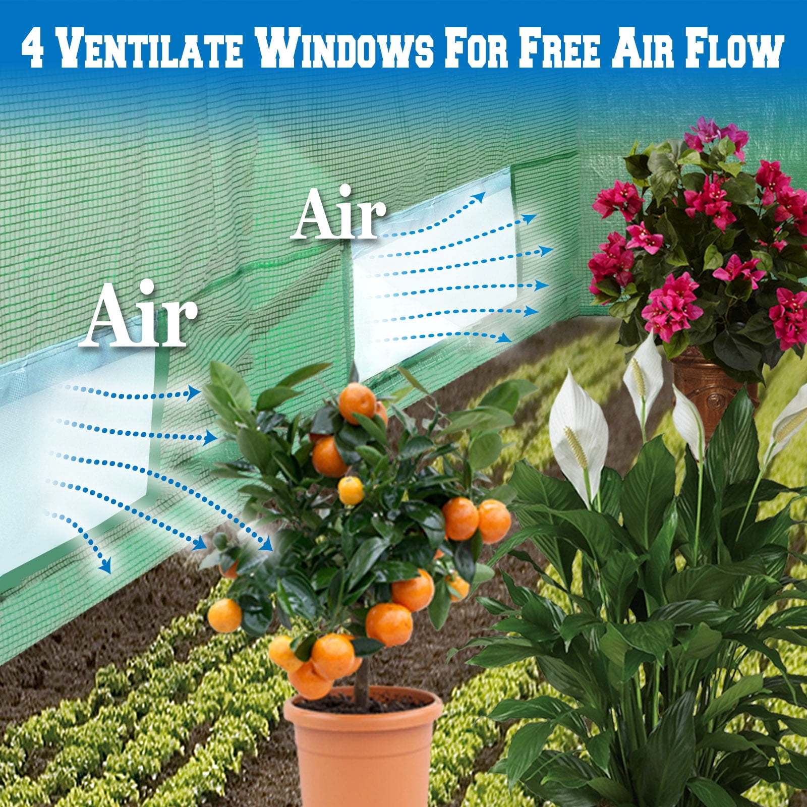 Sunrise 10'X7'X6' Large Walk In Outdoor Plant Gardening Greenhouse Cover (Frame Does Not Included)