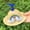 Color:Blue Rainbow Size:S, variant on Small Pet Straw Sun Hat Lovely Costume Hat for Dogs Puppy Mini Bucket Hat Summer Sun Protective Cap for Dogs Girl Boys