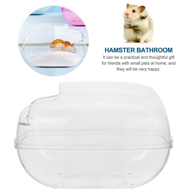 Hamster toilet pets at home 2025