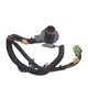 thumbnail image 5 of Arnés de cableado ANGGREK 17 pines para transmisión interna 4T65E 2003-2018, 5 of 8