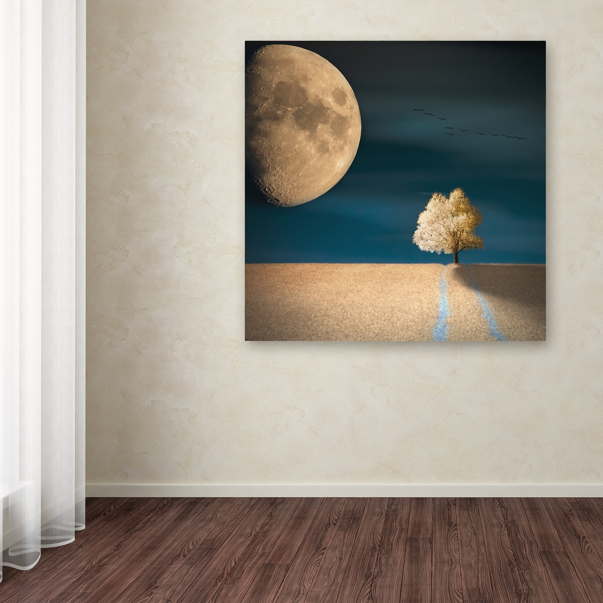 Trademark Fine Art 'Gmo' Canvas Art by Piotr Krol