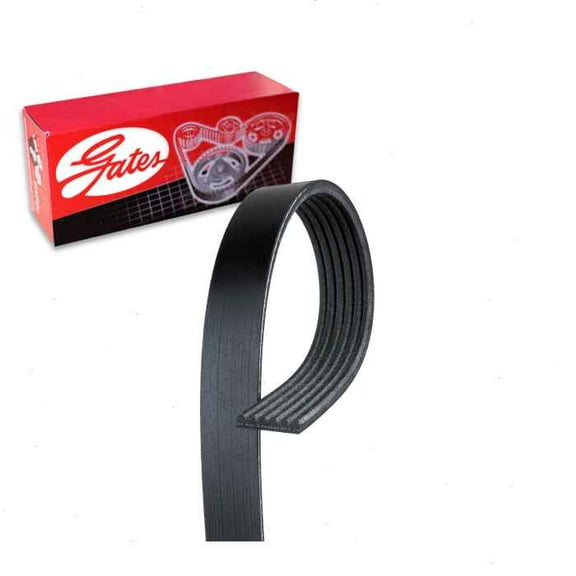 Gates Alternator AC Micro-V Serpentine Belt compatible with Audi Q5 3.0L V6 2013-2017