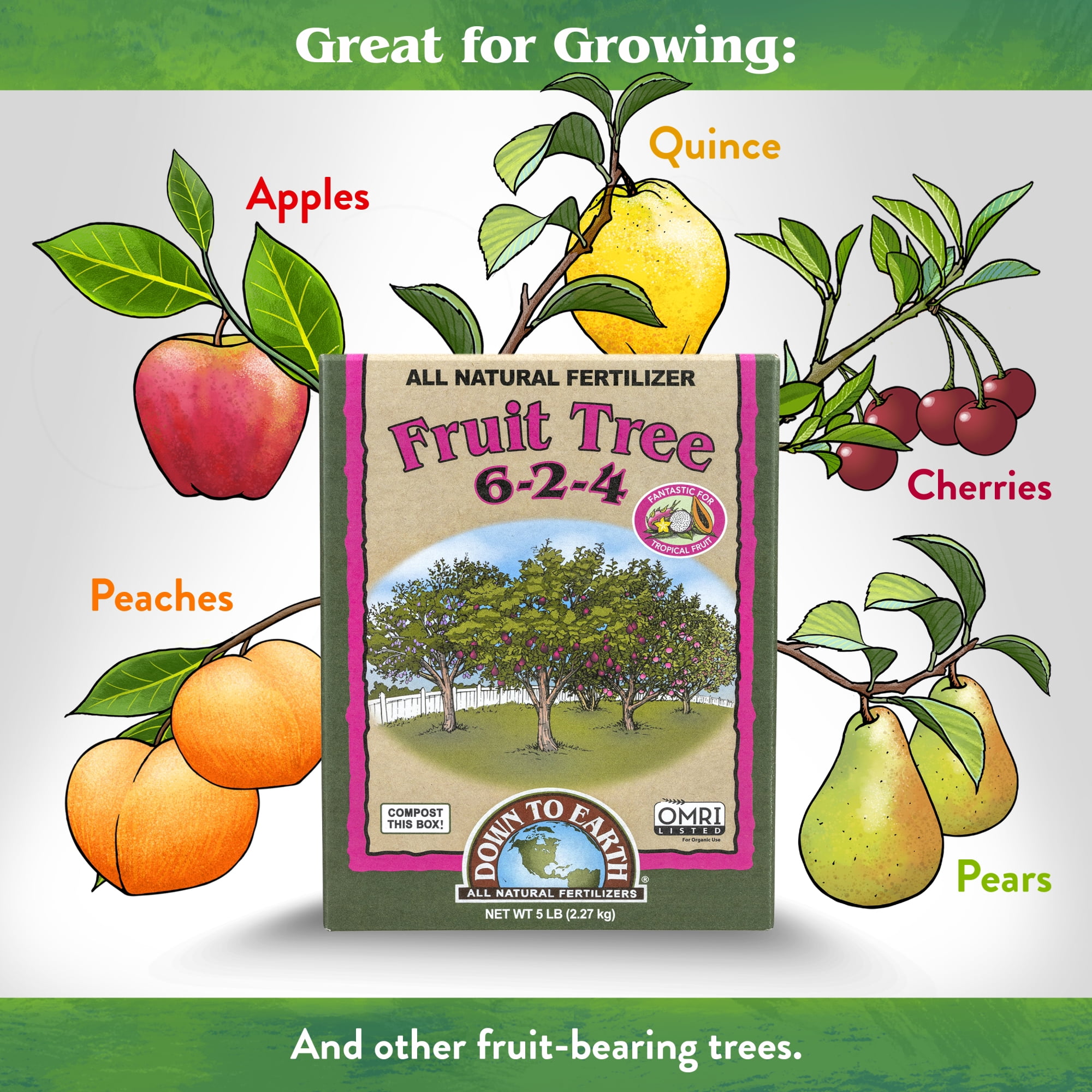 Down To Earth Fruit Tree Natural Fertilizer 6-2-4 OMRI 5lb