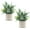 Green, variant on 2 Pack Black Fake Eucalyptus Small Fake Plants Potted Artificial Plants for Halloween Decorations Shelf Desk Home Farmhouse Room Coffee Table Bathroom Decor Black