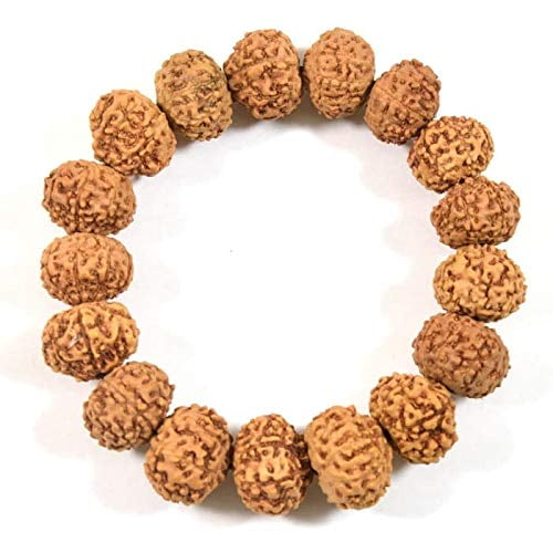Unisex Adult 7 Mukhi Rudraksha Bracelet (Brown)