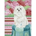thumbnail image 2 of Vitaletti, Carolee 15x18 Black Ornate Wood Framed with Double Matting Museum Art Print Titled - Della Rose Maltese, 2 of 4