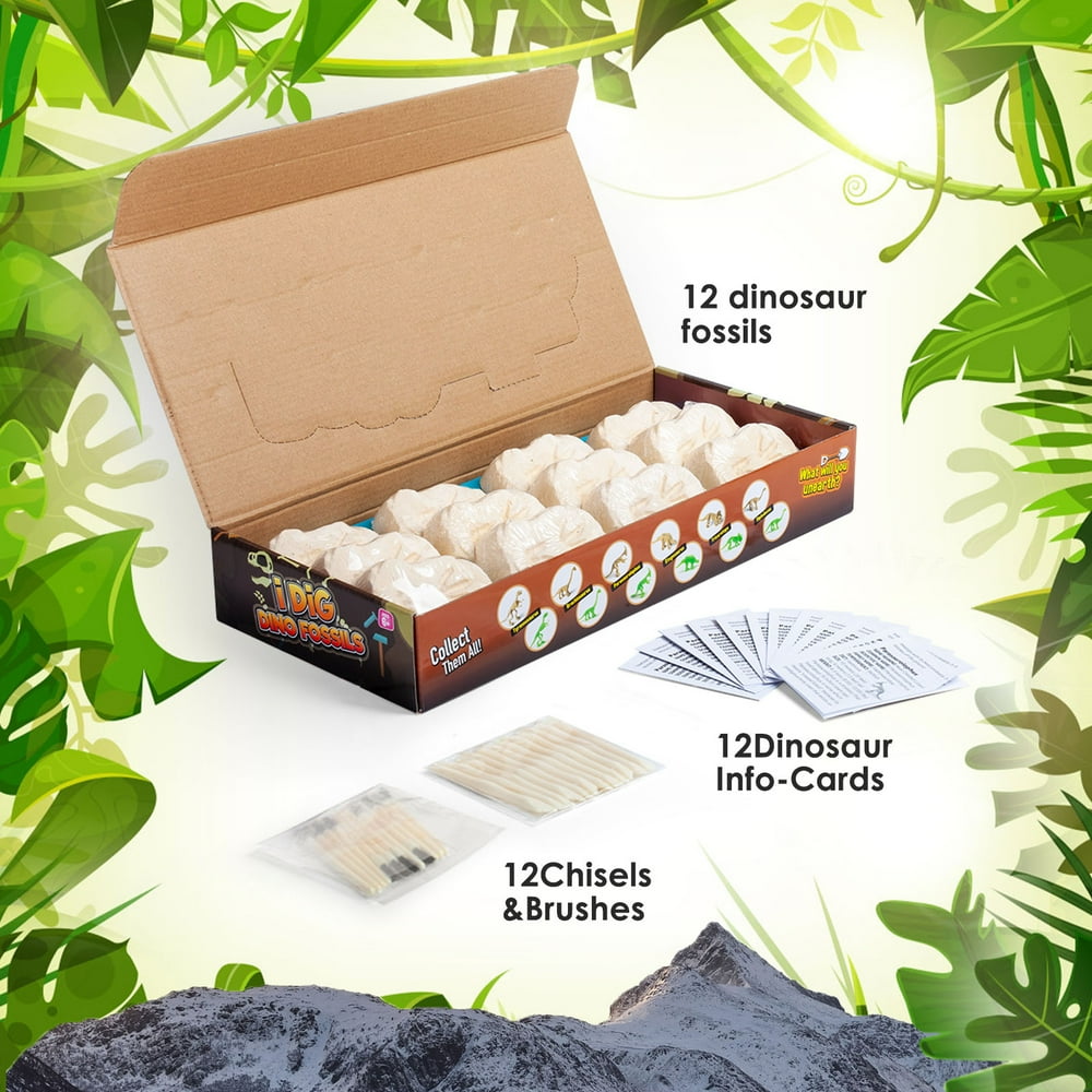 dig it dinosaur fossil kit