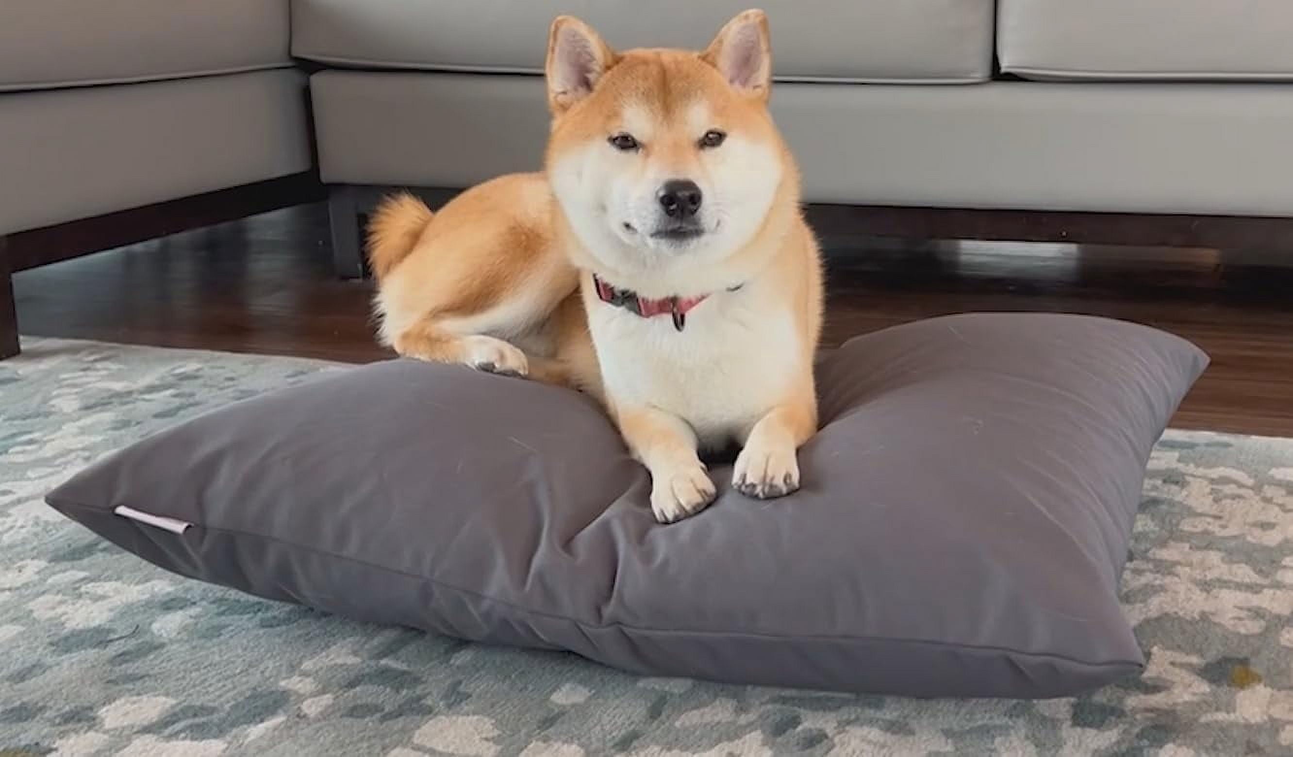 Dogbed4less Memory Foam Snuggle Calming Sleep Bed w/ Waterproof Washable Cover for Small/Medium Dogs