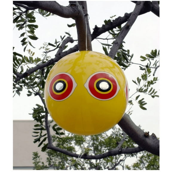 Bird B Gone Woodpecker Deterrent Kit with Roll of Flash Tape and Scare Balloon