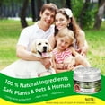 thumbnail image 6 of KingFurt  6pack Drive Away Rodents with Latest Peppermint Engine Mouse Repellent - Safe for Car, RV, Home, and Outdoors, 6 of 9