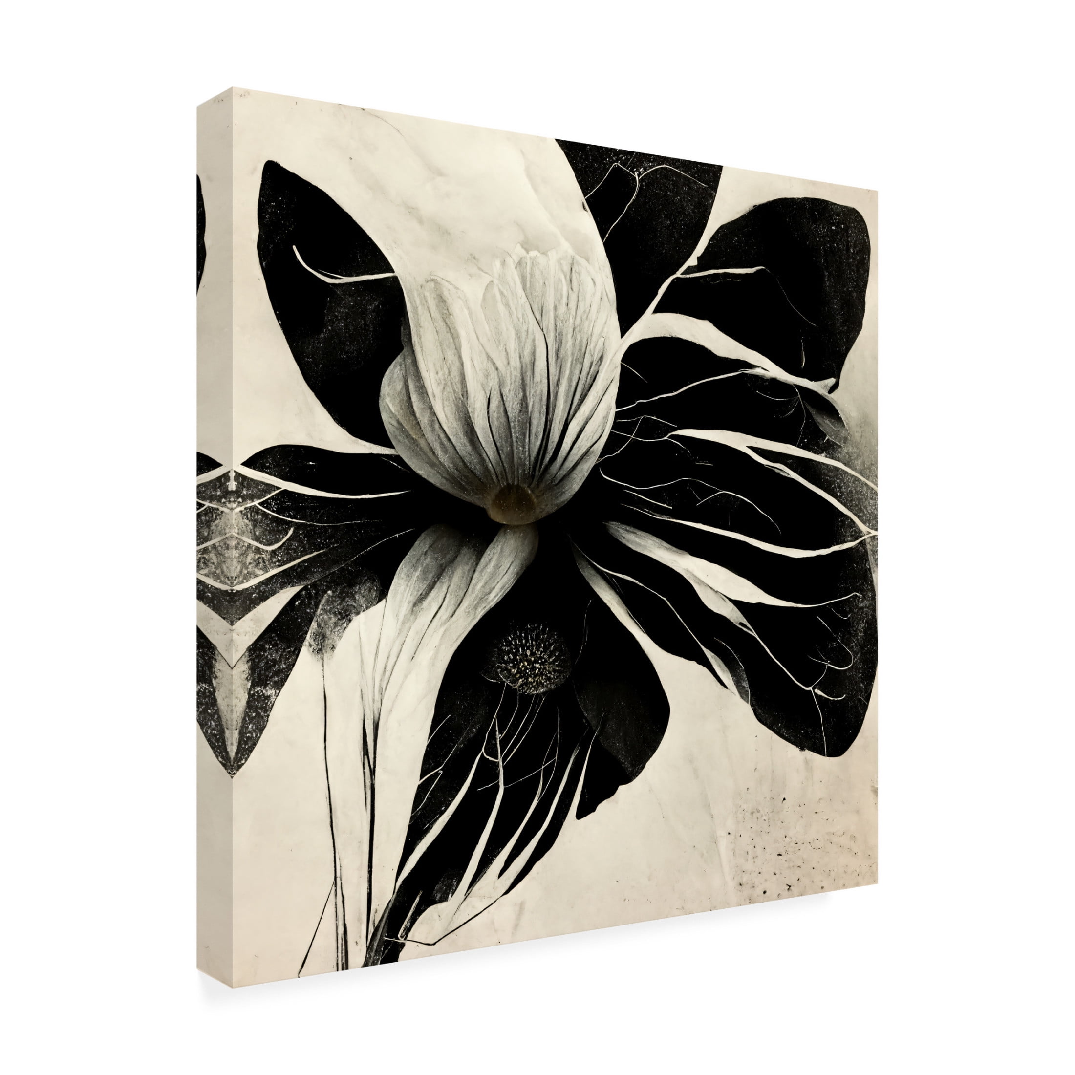 Canvas Wall Art - Ray Heere 'Flowers Black White 8' Wall Art for Living Room, Bedroom, or Office Décor by Trademark Fine Art - 24 x 24 Inches