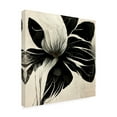 thumbnail image 3 of Canvas Wall Art - Ray Heere 'Flowers Black White 8' Wall Art for Living Room, Bedroom, or Office Décor by Trademark Fine Art - 14 x 14 Inches, 3 of 4