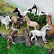 thumbnail image 3 of Juego de figuras Wild Horse, 8 piezas, realistas, de PVC, árabes y galesas para niños, 3 of 3