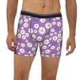 thumbnail image 2 of Xecao Daisies Flowers Print Boxer Briefs for Men's Stretch Moisture-Wicking Underwear, Mid-Rise Classics breathable fabric, 2 of 7