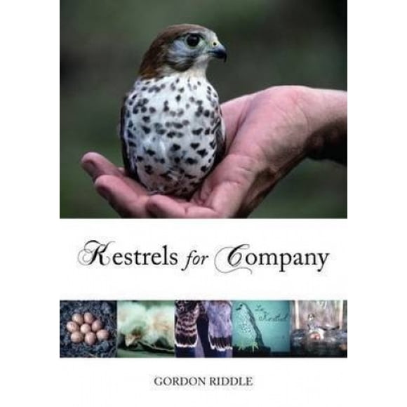 Kestrels pour Entreprise