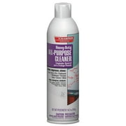 Champion Sprayon Heavy-Duty All-Purpose Cleaner/Degreaser 18oz Aerosol 12/Carton 5161