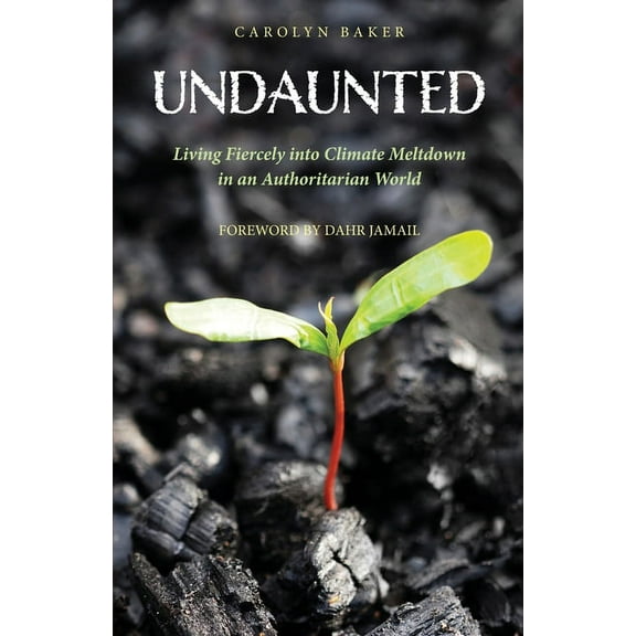 Undaunted (Paperback)