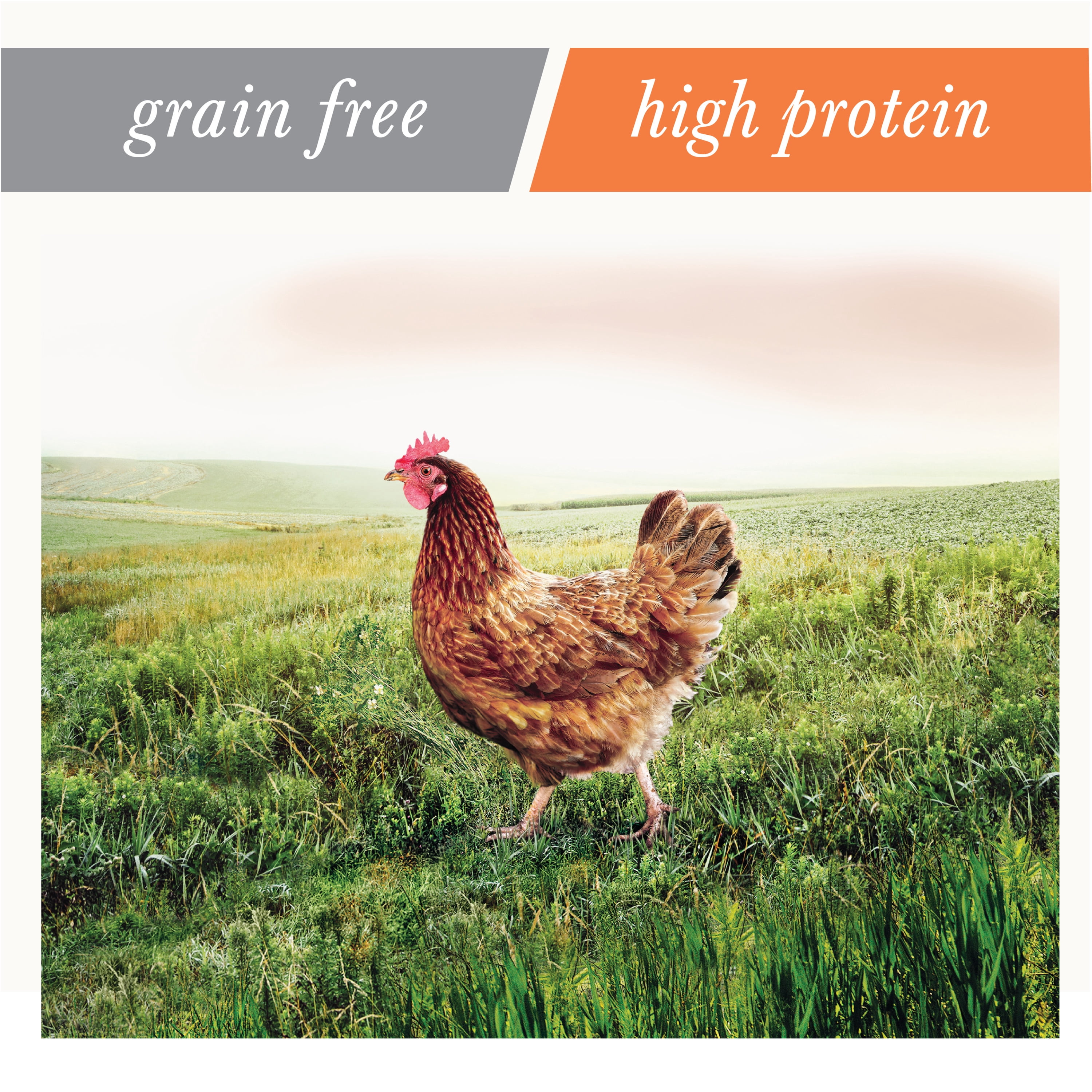 nutro cat food wild frontier