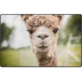 thumbnail image 2 of Coolnut Portrait Brown Alpaca Area Rug Pad, 100% Light Weight Polyester Fabric Floor Mat for Living Room Bedroom,5'x 3'3", 2 of 6