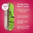 thumbnail image 5 of Santo Remedio Nopal, Prickly Pear Cactus Dietary Supplement, 700 mg, 60 Count, Immune Support, 5 of 11