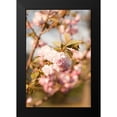 thumbnail image 2 of Millet, Karyn 13x18 Black Modern Framed Museum Art Print Titled - Spring Blossoms IV, 2 of 5