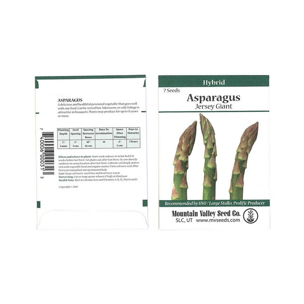 Asparagus Seeds Jersey Giant Hybrid Packet Approx 7 Seeds Non