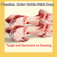 thumbnail image 6 of 2/4 Count 6 Inch Beef Dog Bone for Aggressive Chewers, Large and Medium Breed Dog Treat, Natural, Tough, Chew Toy, 6 of 10