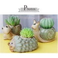 thumbnail image 3 of Macetas de plantas suculentas de animales, macetas de tortugas pequeñas, mini contenedores de plantas florales, decoración de animales, 3 of 5