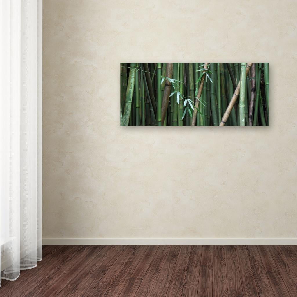 "Bamboo" Canvas Art by Pierre Leclerc