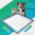 thumbnail image 2 of Bandeja Skywin para orinar para perros, 95 x 95 cm, bordes elevados, 2 of 7