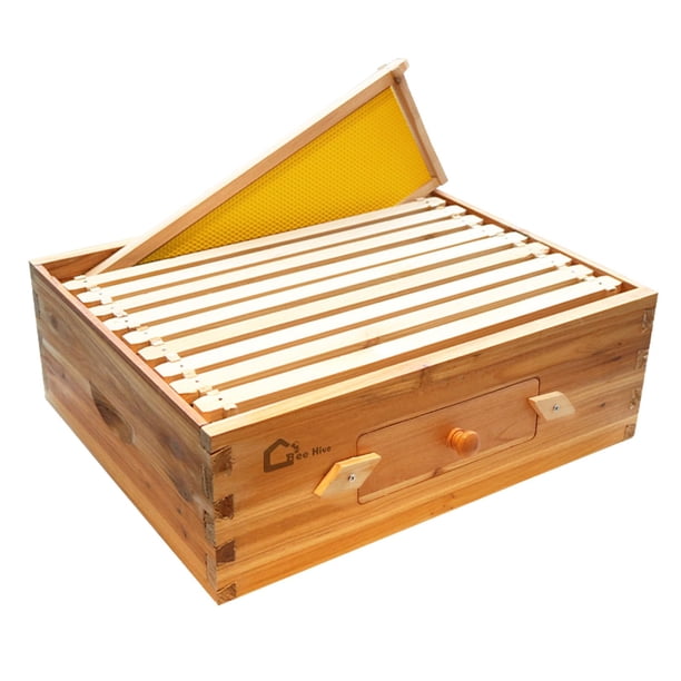 Garvee kit de colmena Langstroth de 10 cuadros en madera de cedro, precurada con cera de abeja natural, caja mediana con ventana y ensamble cola de milano