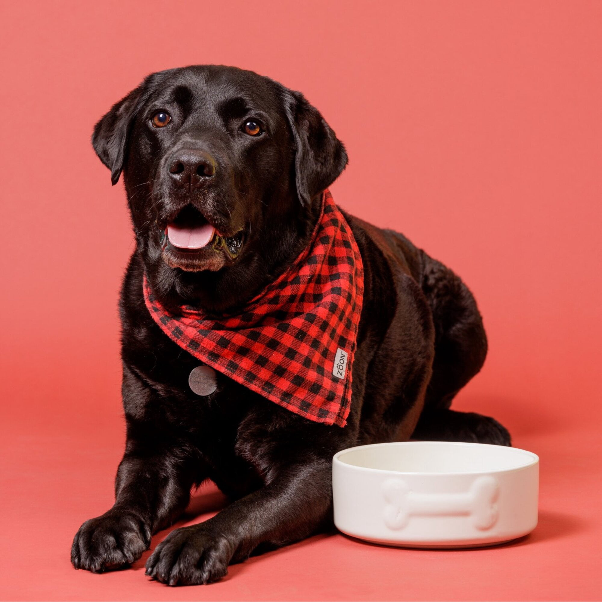 Mason Cash: Embossed Bone Dog Bowl - Cream - 8", 50.7oz - Durable Ceramic Food & Water Dish, Microwave & Dishwasher Safe, Pet Meal Feeding & Hydration