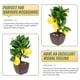 thumbnail image 3 of QUMIIRITY Decorativo Bonsái Artificial Para Multicolor Con Material Premium Para Hogar, 3 of 6