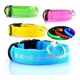 thumbnail image 1 of Collar Led Recargable Usb Perros Y Gatos Paseo (3pzs), 1 of 5