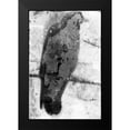 thumbnail image 2 of Blixt, Ingrid 11x14 Black Modern Framed Museum Art Print Titled - B and W Flight IX, 2 of 5