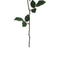 thumbnail image 6 of Allstate Long Stem Blooming Rose Artificial Floral Spray - 23" - Cream, 6 of 8
