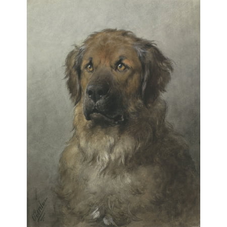 - Head Of A Newfoundland Dog Canvas Art - (18 x 24)