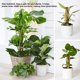 thumbnail image 3 of Pole de trepadora de trepadores cubiertos de jardinería de jardinería reutilizables APOTRAS APOSTRO APARTAMENTOS EXTENSIÓN EN VERROCEO 30 cm 4 piezas Irene Inevent HA059509-01, 3 of 7