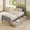 Gray, variant on Costway Twin Size Bed Frame with 2 Storage Drawers Wood Platform Bed with Headboard White